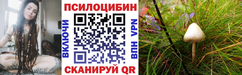 даркнет сайт  блэк спрут tor  Псилоцибиновые грибы мицелий  Подольск 